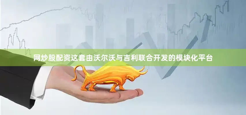 网炒股配资这套由沃尔沃与吉利联合开发的模块化平台