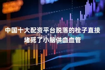 中国十大配资平台脱落的栓子直接堵死了小脑供血血管
