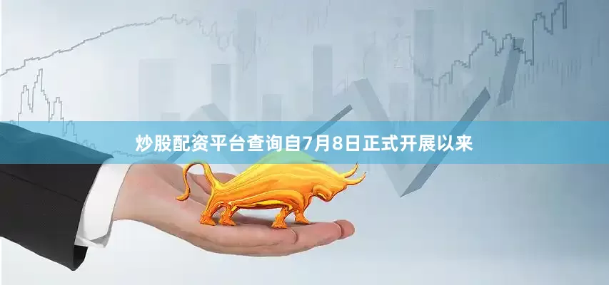 炒股配资平台查询自7月8日正式开展以来