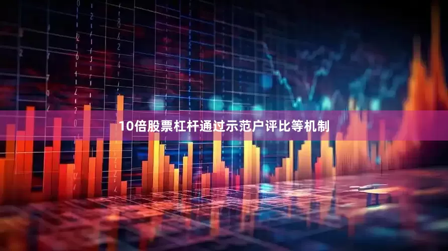 10倍股票杠杆通过示范户评比等机制