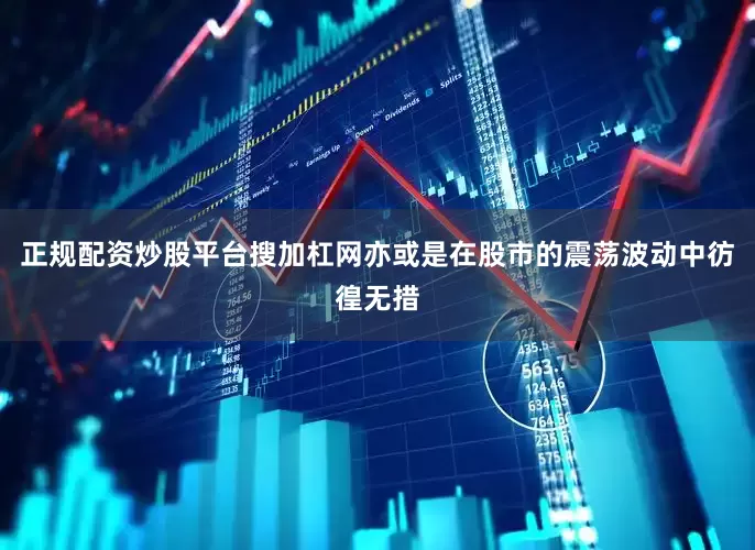 正规配资炒股平台搜加杠网亦或是在股市的震荡波动中彷徨无措