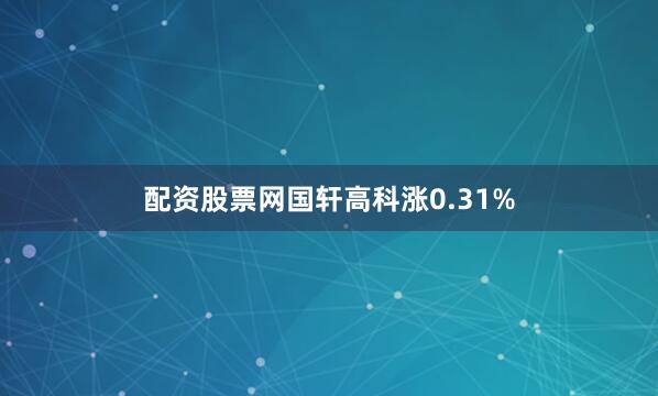 配资股票网国轩高科涨0.31%