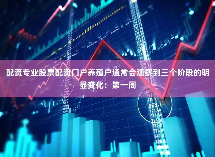 配资专业股票配资门户养殖户通常会观察到三个阶段的明显变化：第一周